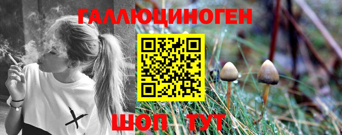 Псилоцибиновые грибы Cubensis  Вход с VPN  Смоленск  наркота  Псилоцибиновые грибы Magic Shrooms 